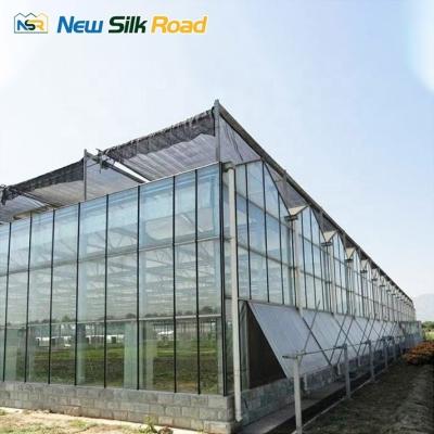 China Customized Greenhouse for Agricultural Needs Cooling System and Ventilation Included for sale