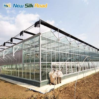 China Large Agricultural Greenhouse Window Glass Single-Span Greenhouse for Agro for sale