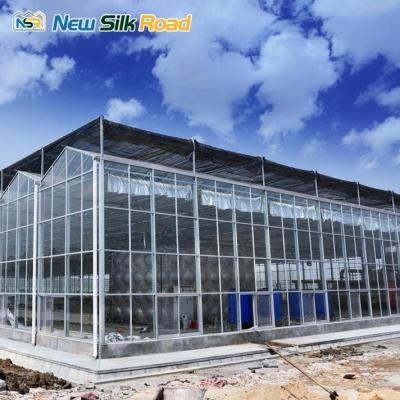 China Length Customized Multispan Venlo Glass Polycarbonate Greenhouse for Agriculture Growth for sale