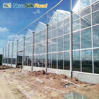 China Solar Control Tempered Insulated Glass Greenhouse for Flower and Vegetable Growing for sale