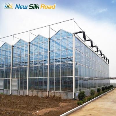 China Hot Galvanized Steel Structure Venlo Type Glass Greenhouse for Commercial Agriculture for sale