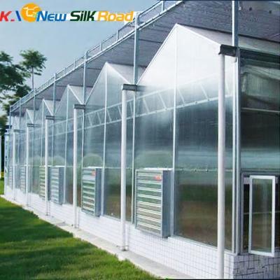 China Multilayer PC Hollow Sheet Covered Garden Greenhouse for Vegetable Fruits Flowers for sale