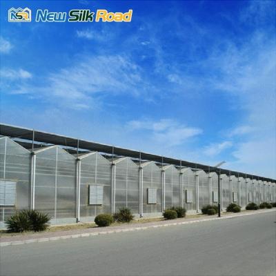 China vegetable garden greenhouse frame agricultural greenhouses tunneling polycarbonate greenhouses supplier for plants for sale