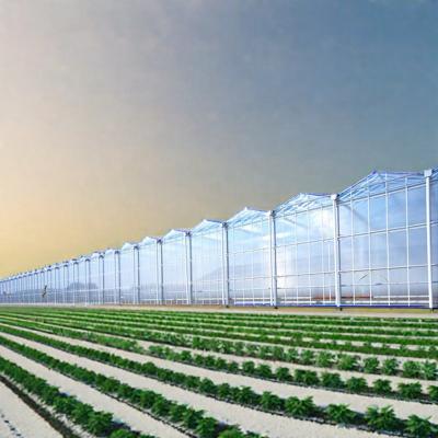 China steel and glass houses solar greenhouse 4 layer polycarbonate agriculture outdoor green houses greenhouse for agro for sale