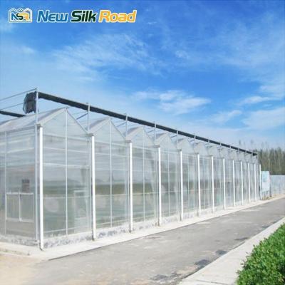 China Hot Galvanized Steel Frame Greenhouse for Year-Round Gardening and Agriculture for sale