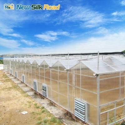 China Hot Dip Galvanized Steel Structure Agricultural Greenhouse with Metal Aluminium Houses for sale