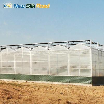 China Polycarbonate Greenhouse for Large-Scale Vegetable Cultivation in Commercial Farming for sale