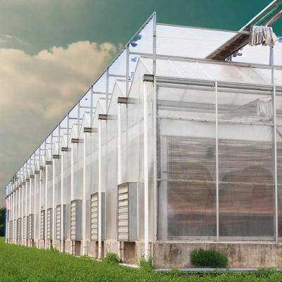 China 6mm Polycarbonate Roof Outdoor Greenhouse Kit Multi-Span Agricultural Greenhouses Large for sale