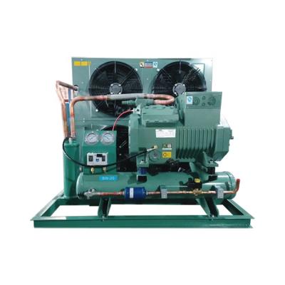 China Cold Storage Cheap Price 10HP Refrigeration Air Cooled Condensing Unit for sale