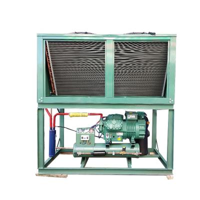 China Refrigeration Parts Box Type Air Cooled Condensing Unit For Walk In Cooler for sale