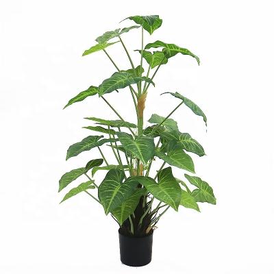 China Art Decor 3ft Tall Artificial Colocasia Plant Tree For Home Decor for sale