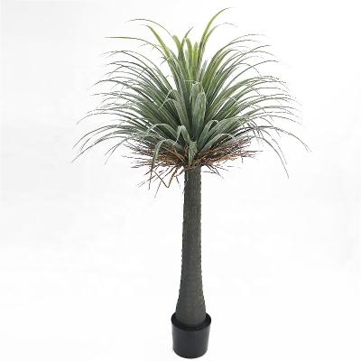 China 160cm high environmental friendly plastic nolina recurvata plant for landscape decoration for sale