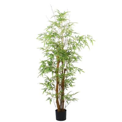 China Art Decor 6ft tall faux bambusa bamboo tree for home decor for sale