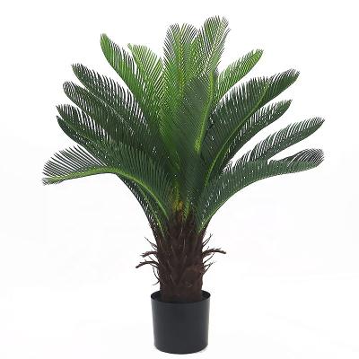 China Art Decor 3ft Tall Decorative Plastic Cycads Revoluta Tree Plastic Tree Used For Landscape Decoration for sale