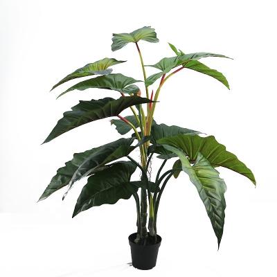 China Art Decor 6 ft tall simulation calathea roseopicta plants for landscape decoration for sale