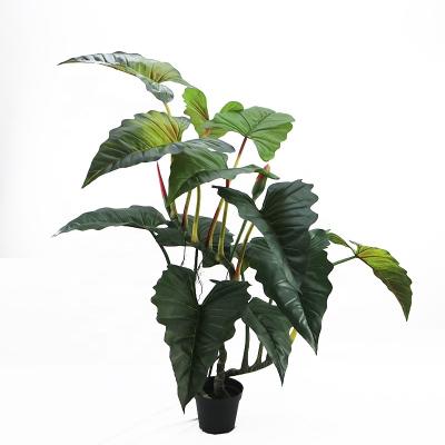 China Art Decor 6 feet tall artificial calathea plants roseopicta good for landscape decoration for sale