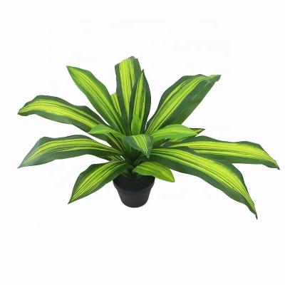 China Real Touch 32cm High Realistic Dracaena Plants Bush Environmentally Friendly for sale