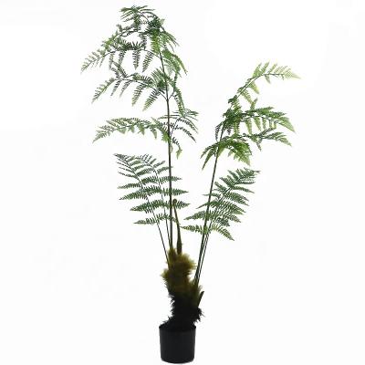 China Art Decor 6ft Tall Artificial Tropical Fern Tree For Landscape Decoration for sale