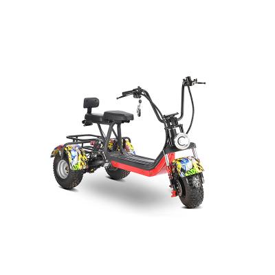 China New Products China Fashion Unisex Design 800w Offroad Electric Tricycle China Adult Electric Tricycle 3 Wheel for sale