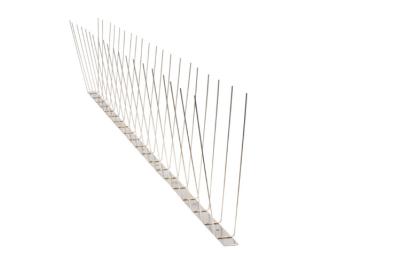 China High Quality Stainless steel 304 Control Bird Spikes On Sale for sale