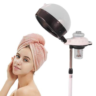 China Beauty Salon Hair Treatment Treating Steam Hair Concise Home Beauty Salon With Stand Micro Nano Professional Steam Hair Machine Mist Hair Spa Machine for sale