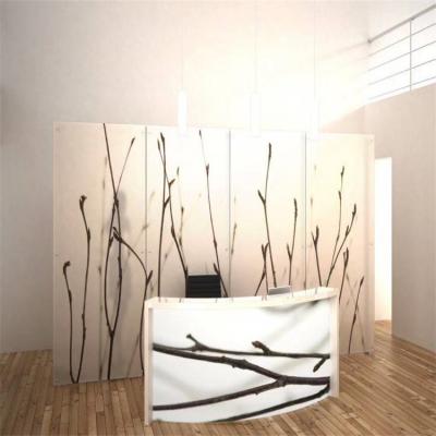 China Modern Sustainable Custom Decorative Acrylic Plate 3D Resin Wall Panels For Office for sale