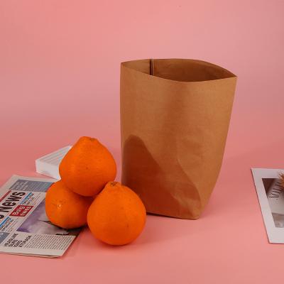 China Recyclable Biodegradable Recycle Customized Washable Durable Waterproof Printing Logo Brown Kraft Paper Packaging Bag For Fruit for sale