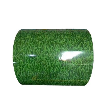 China Making Pipes Wholesale Color Steel Color Roll Grass Printing Galvanized Sheet Color Roll Galvanized Sheet for sale