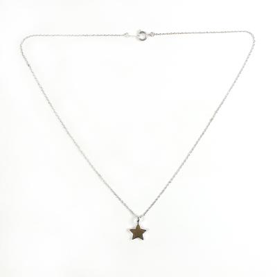 China 2019 Eco - Friendly Hot Selling Silver Simple Small Star Sign Necklace for sale