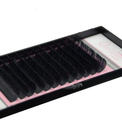 China Mink Fur Sizes All False Eyelash Extensions Mink Black Material JBCD Curls 1 Tray / Lot for sale