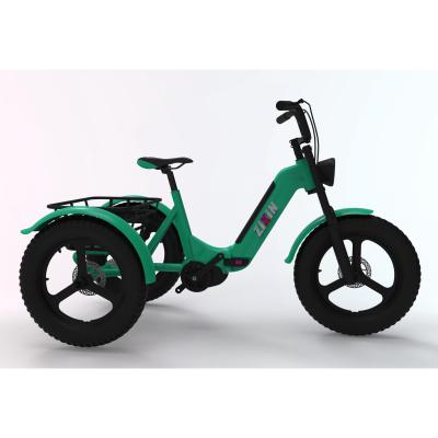 China Aluminum alloy 250W/500W/750W optional 3 wheel ebike tire front wheel hub motor fat/mid motor electric tricycle for sale