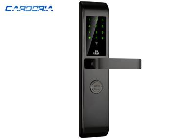 China Smart Apartment Electronic Door Locks With Hidden Key Hole Passcode Unlock for sale