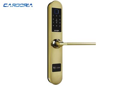 China La tarjeta desbloquea la cerradura de puerta elegante de la huella dactilar para la puerta de aluminio 310*50m m en venta