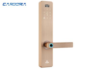 China Cerradura de puerta elegante de la alta huella dactilar de la confiabilidad, cerradura de puerta al aire libre del telclado numérico de Digitaces en venta