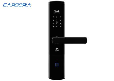 China Good Performance Biometric House Door Lock With Hidden Key Hole High Resolution for sale