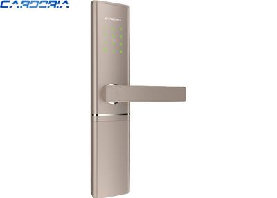 China Zinc Alloy Panel Remote Access Door Lock With TTlock App Control Compact Size for sale