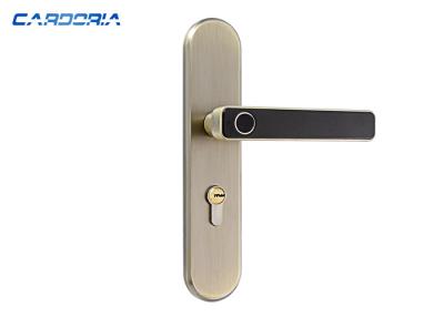 China Fashion Design Keyless Cabinet Lock , Safety Biometric Keyless Door Lock for sale