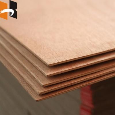 China ROJOPLY Modern Commercial Plywood 18mm Bintangor Poplar Plywood Sheet for sale