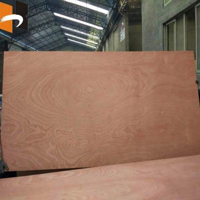 China Indoor Hanbao All Sizes Commercial Decoration Plywood For Furniture à venda