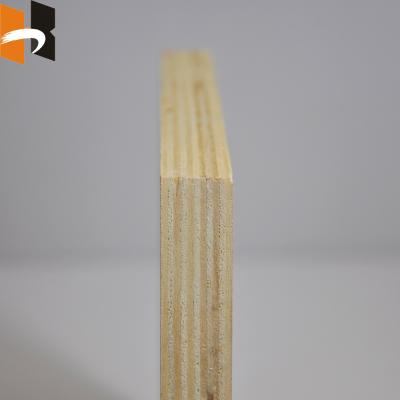 China 18mm modern plywood/finnish birch plywood/white birch plywood Te koop