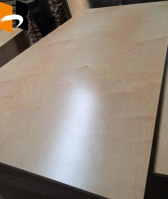 Cina 3mm 15mm 18mm Traditional Wholesale Construction Plywood For UV Painted Birch in vendita