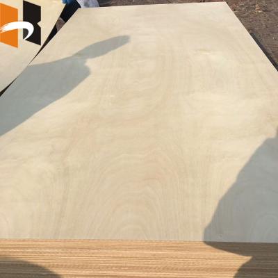 China Furniture Decoration 2mm 18mm 12 Ply 13 Ply Wood Baltic Polish Birch Plain Plywood for sale