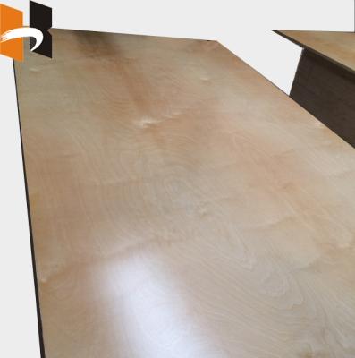 China Furniture Decoration Glossy UV Birch Prefinished Plywood Te koop