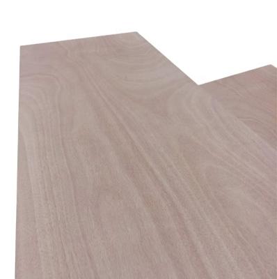 중국 Modern Poplar and Combi Core Hardwood Core Door Skin Plywood for Molded 판매용