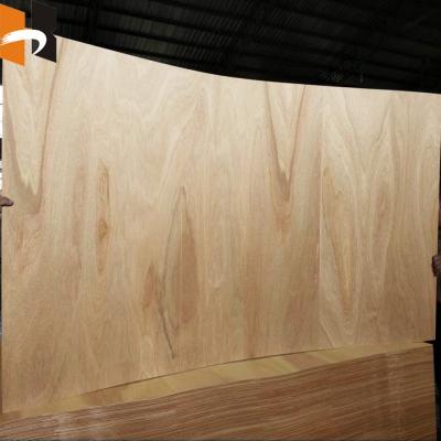 China Made to Shape 2440*1220mm Bent Plywood For Furniture Chair Flexible Long Grain à venda