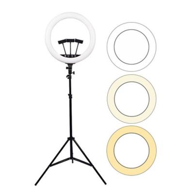 China Photogrphy Professionals Photographic 2020 photo 3 in 1 3 color 360 45 cm led ring light with clip ctripod for sale