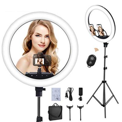 China Alloy+ aluminum plastic grade rechargeable battery 3 in 18 inch larger ring video beauty remote ring light with tripodstand for sale