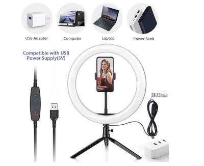 China Tangsheng 10W 5500k 360 Degree Roating Mobile Phone Holder Photography LED Ring Light With 10 Inch Makeup Studio Stand for sale