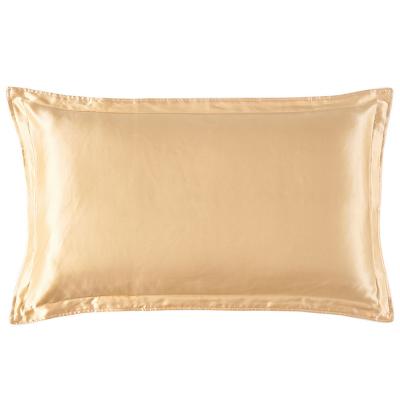 China Sustainable Single Envelope Style Double Face 100% Pure Silk Pillowcases for sale