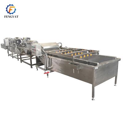 China Beverage plant citrus washing machine/orange citrus cleaning machine seal/and cleaner machine for sale